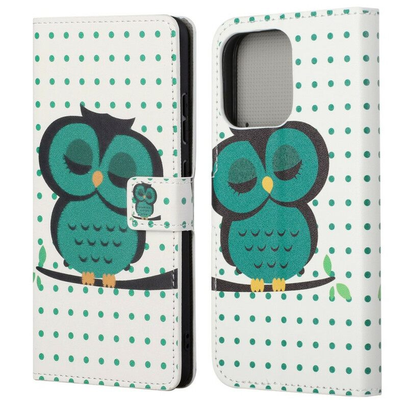Kotelot iPhone 13 Nukkuva Pöllö