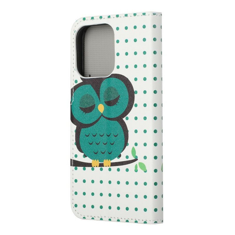 Kotelot iPhone 13 Nukkuva Pöllö