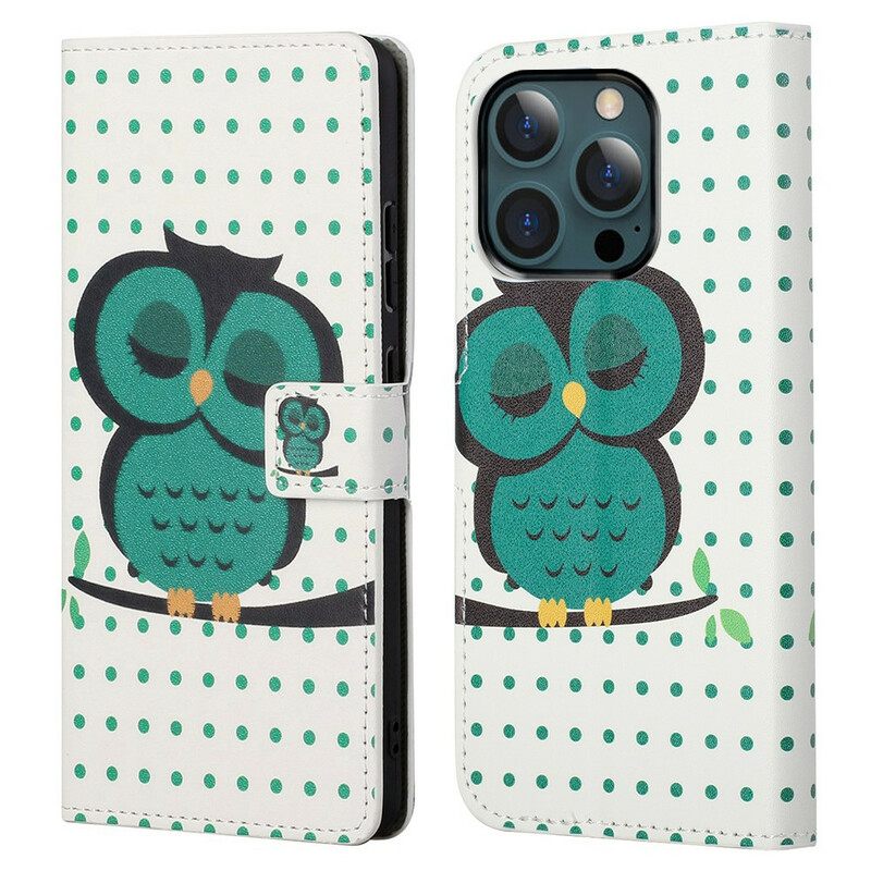 Kotelot iPhone 13 Pro Max Nukkuva Pöllö