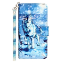 Kotelot Samsung Galaxy S25 Fe Lumi-susi Ja Nauha