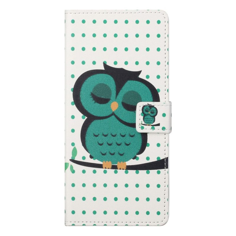 Kotelot OnePlus Nord CE 2 5G Nukkuva Lintu