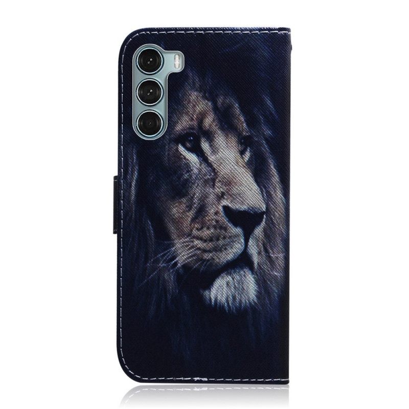 Kotelot Moto G200 5G Dreaming Lion