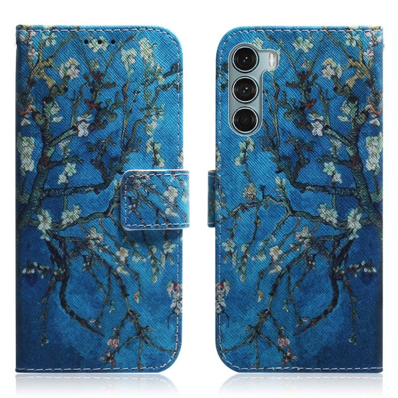 Kotelot Moto G200 5G Kukkivan Puun Oksa