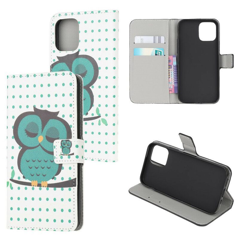 Kotelot iPhone 13 Mini Nukkuva Pöllö