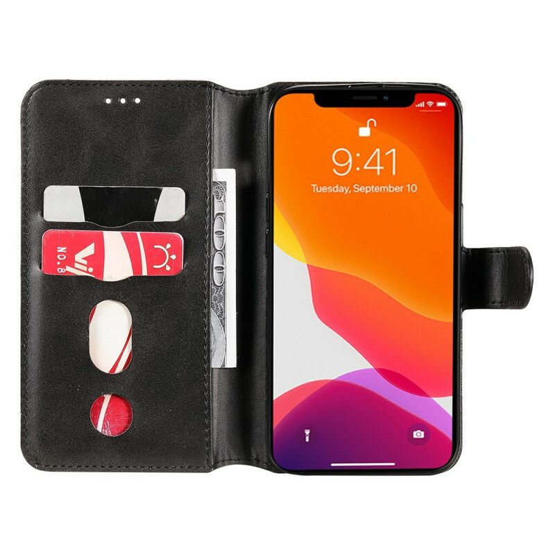 Flip Case iPhone 13 Pro Frozen