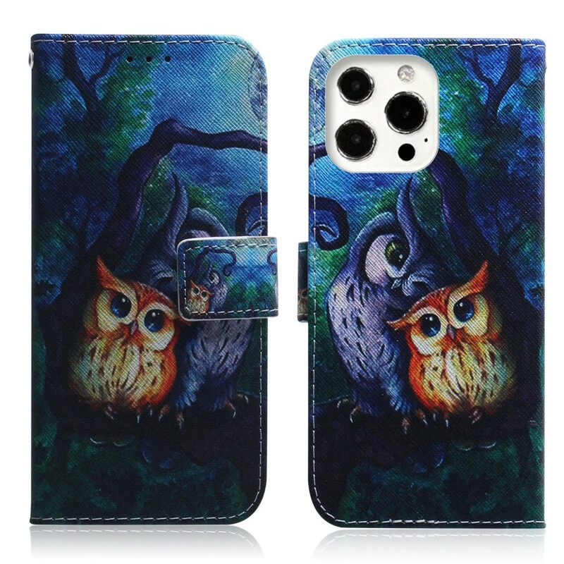 Flip Case iPhone 13 Pro Pöllöjen Maalaus