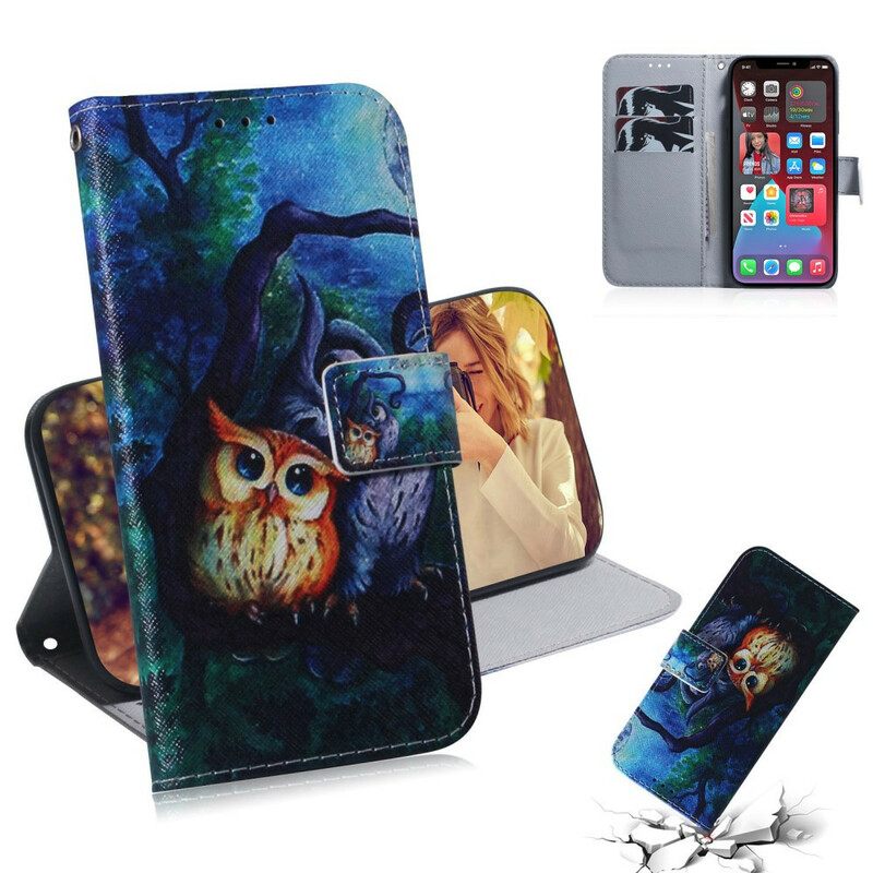 Flip Case iPhone 13 Pro Pöllöjen Maalaus